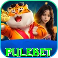 pulebet - Mega Earning App